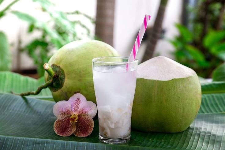 bisnis pengupas kelapa muda skala industri
