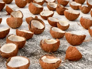kelapa kering