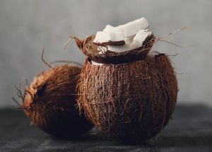 kelapa tua