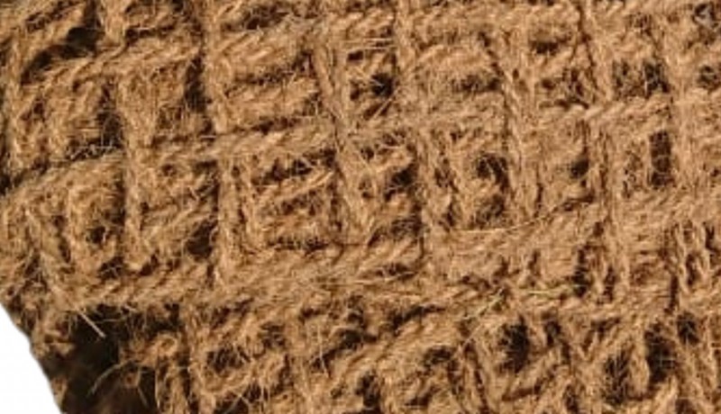aplikasi cocomesh modern