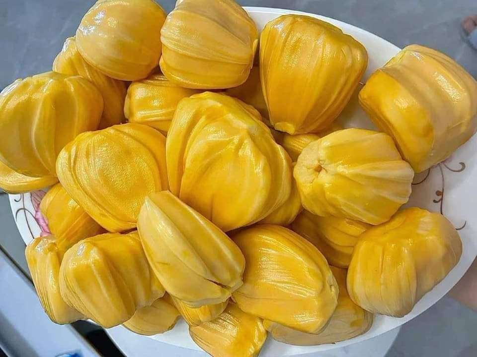 Inovasi Produk Keripik Nangka 
