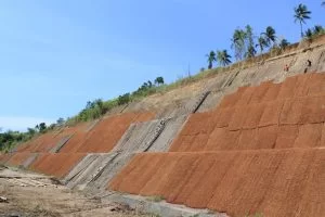Pemanfaatan cocomesh dalam pembelajaran based learning