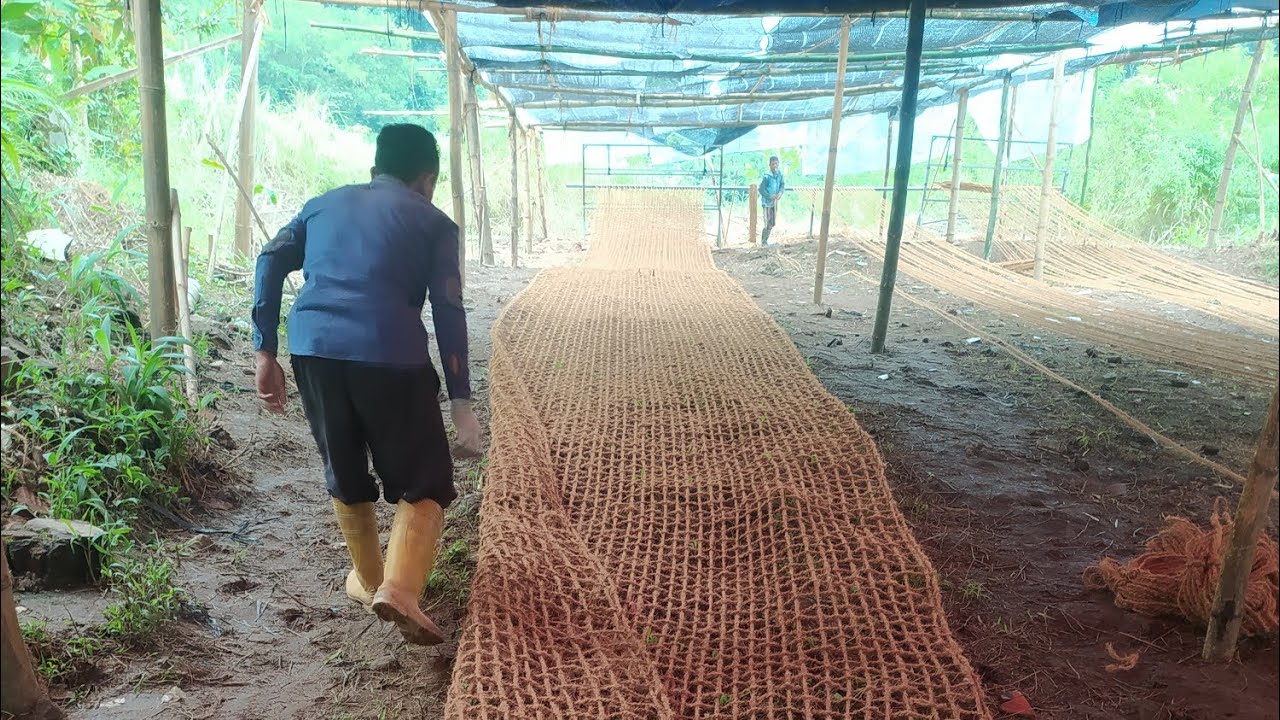 pemanfaatan cocomesh untuk tanaman buah tropis