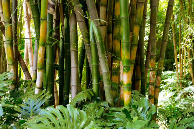 alat bantu pengrajin bambu modern