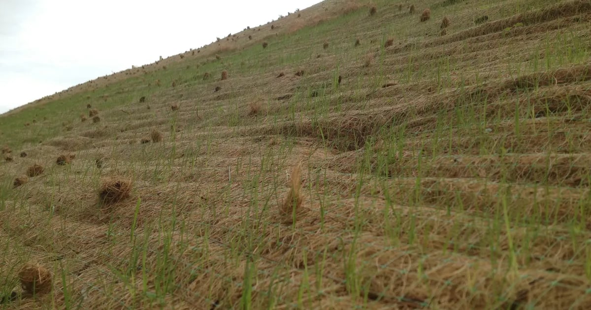 Sabut kelapa sebagai bahan dasar eco-product