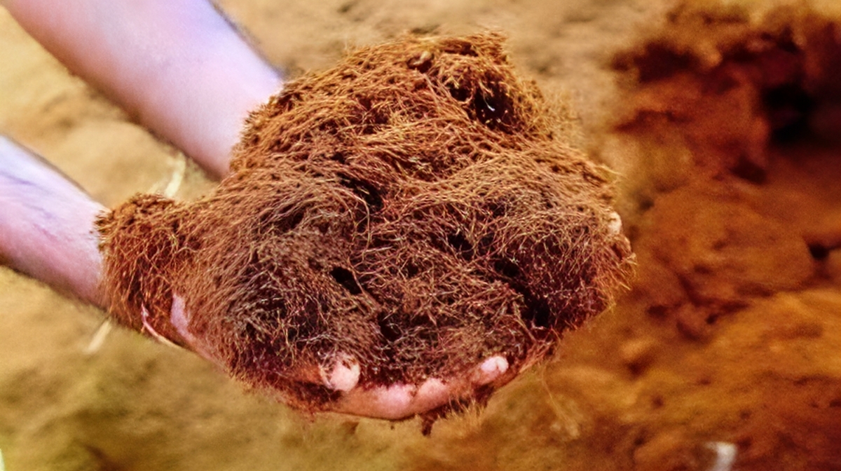 Sabut kelapa sebagai solusi limbah kreatif