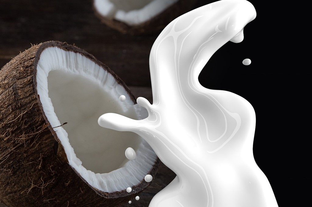 pemasaran santan kelapa