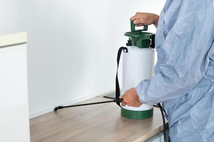 jasa anti rayap terdekat dari lokasi saya