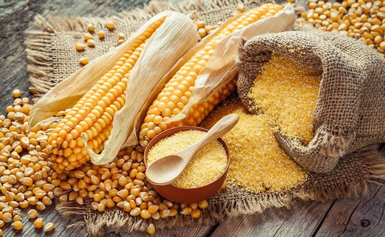 cara mempercepat giling jagung