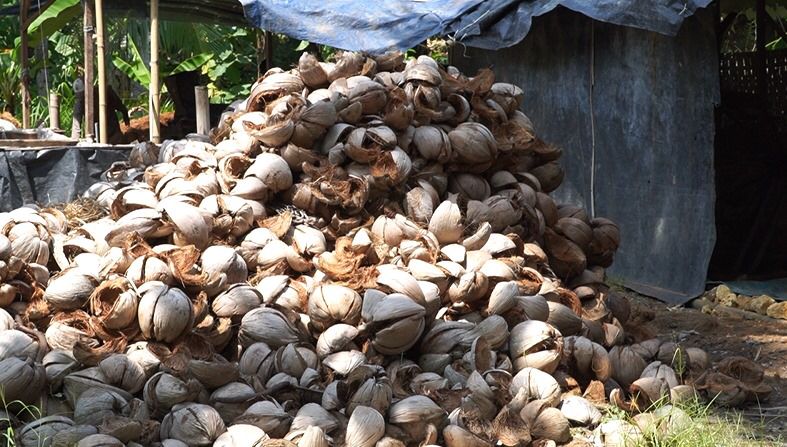 coconut waste renewable energy solutions